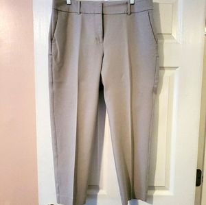 Ann Taylor Factory Curvy Ankle Dress Pants